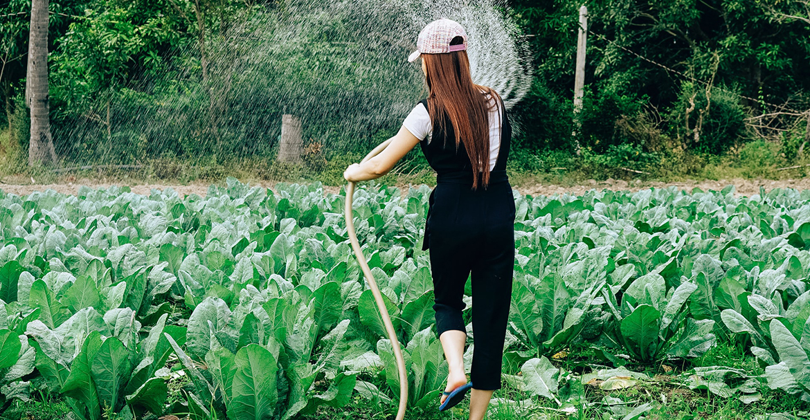 Ý tưởng quà tặng hữu cơ và bền vững cho mọi người