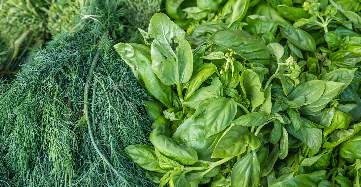 Sản phẩm chất lượng cao nhất và giao trực tiếp đến tận cửa nhà